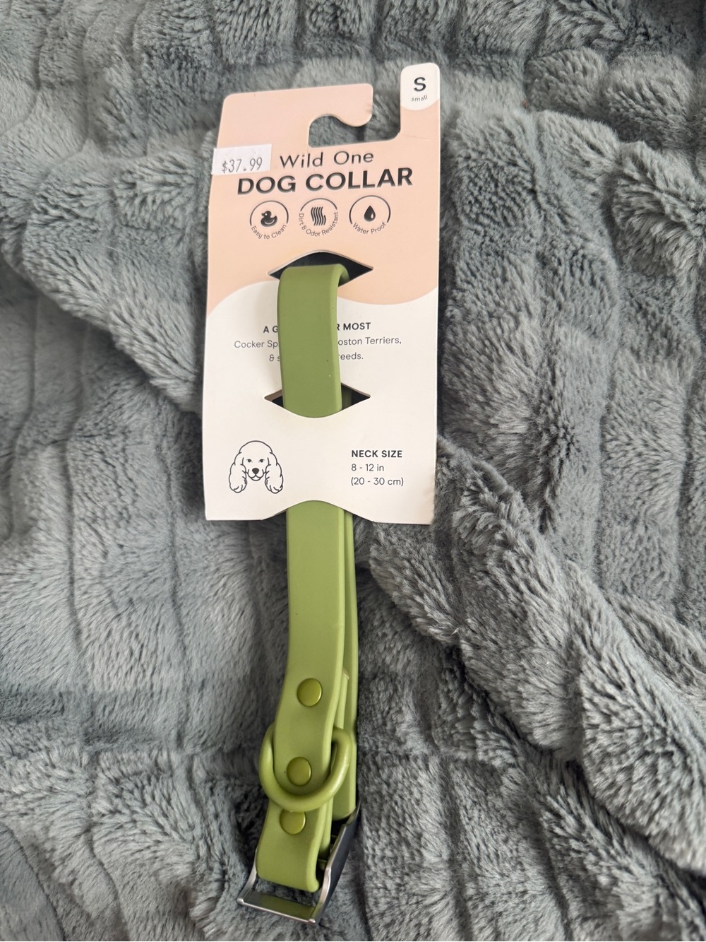 Wild One size small green collar